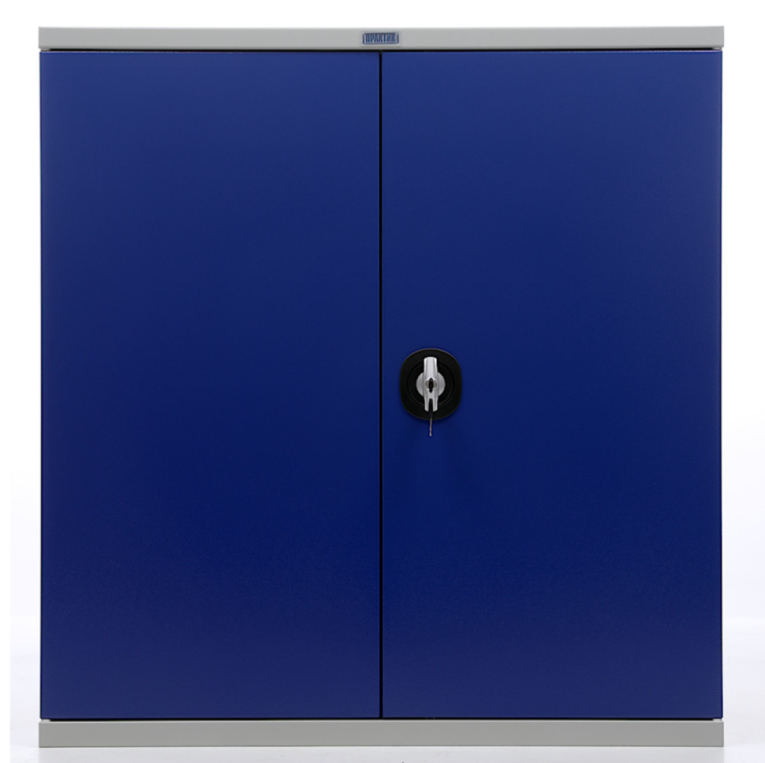 Шкаф инструментальный ТС 1095-1002010 купить в Апатитах Шкаф инструментальный ТС 1095-1002010 купить в Апатитах